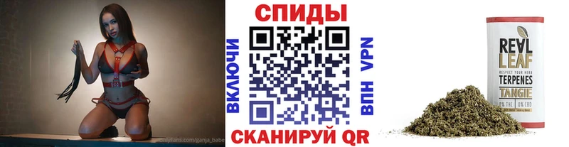 где найти наркотики  Алексин  Бутират жидкий экстази 