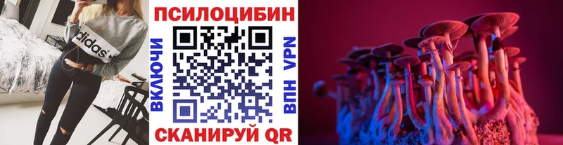 купить наркотики сайты  Алексин  Псилоцибиновые грибы мицелий 
